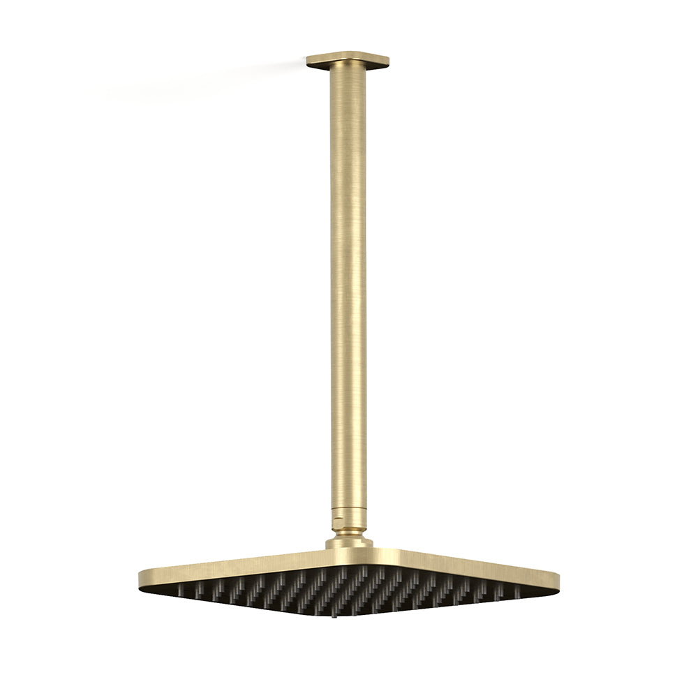 (-91) (-91) Raw Brushed Brass