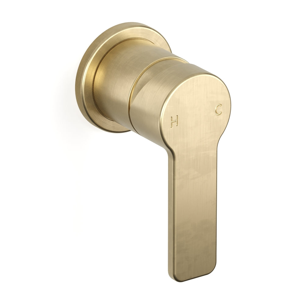 (-91) (-91) Raw Brushed Brass