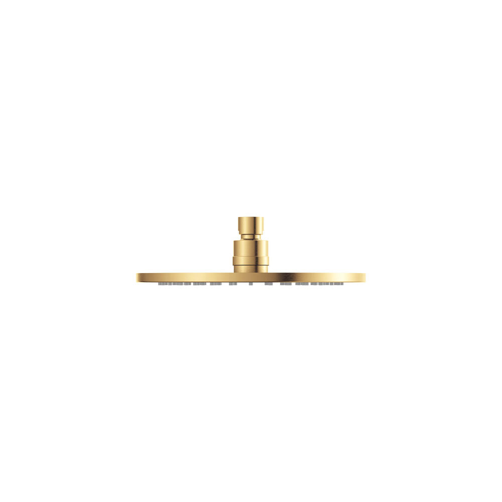 Starry Eco Flow Shower Head, Urban Brass