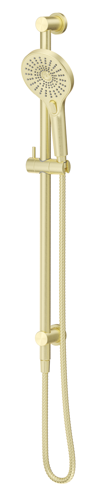 Mica Shower Rail - Inbuilt Inlet - French Gold