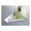 Corner Shower Shelf And Glass Scraper 02