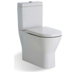 Fienza Rak Resort Rimless Toilet Suite 01