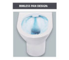 Fienza Rak Resort Rimless Toilet Suite 03