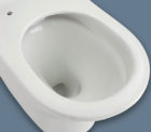 Fienza Luciana Rimless Toilet Suite 02