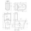 Fienza Luciana Rimless Toilet Suite 04