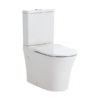 Fienza Luciana Rimless Toilet Suite 08jpg