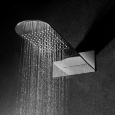 Fienza Empire 411.113 Empire Shower Head