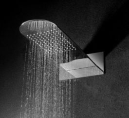 Fienza Empire 411.113 Empire Shower Head