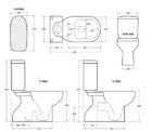 Fienza Liwa Toilet Suite Specs