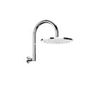 Pegasi Overhead Shower High Curve 01