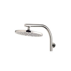 Vivid Shower With Curved Arm 01