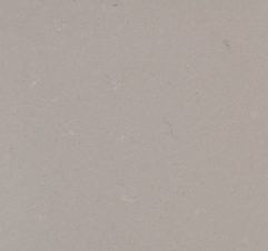 Cs Raw Concrete