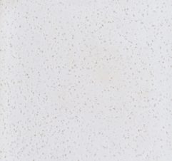 Timberline Star Dust Silksurface C