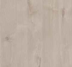 Angora Oak