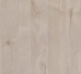 Angora Oak