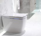 Lafeme Smart Toilet Small