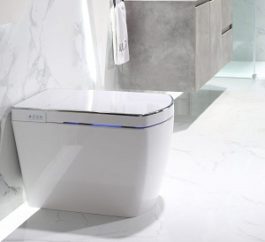 Lafeme Smart Toilet Small